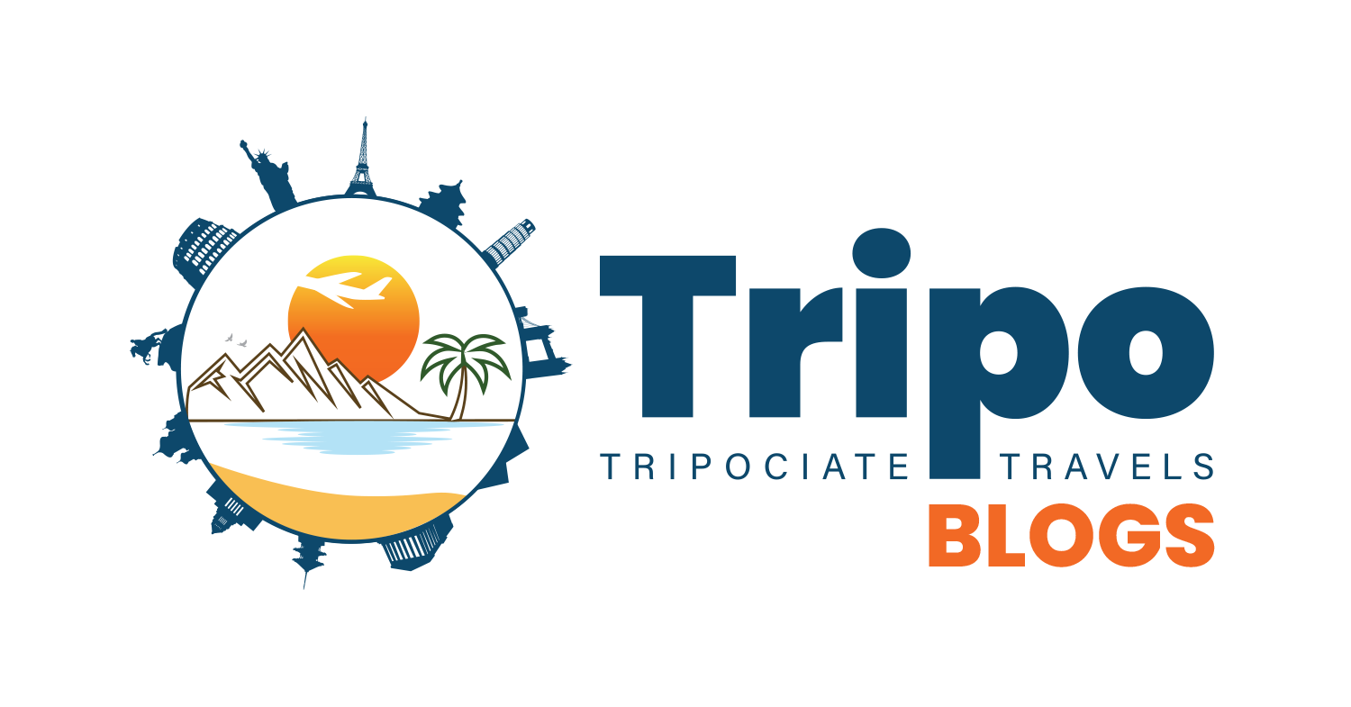 Tripo Blogs